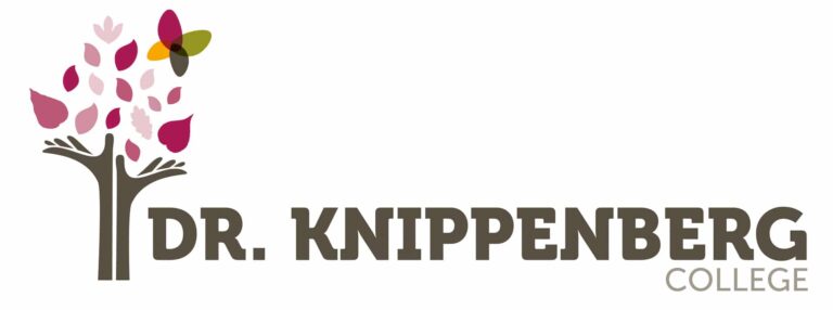 drknippenberg website logo 768x286
