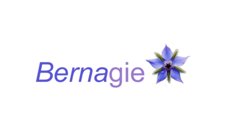 bernagie v2 card 1 768x432